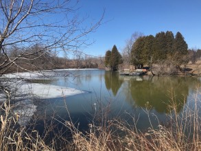 Puckett's Pond in Spring